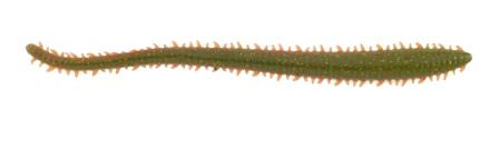 Berkley Gulp!® Saltwater Sandworm – 1109381.jpg