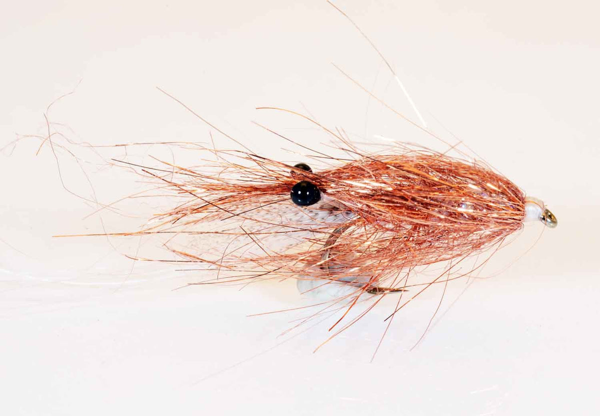 Copper Shrimp Kystflue