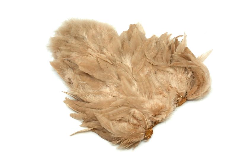 Whiting Rooster SH/C – dealerweb-cms-3179f319-fd05-47f3-a21b-4ccb39464190.jpg