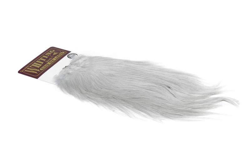 Whiting Coq de Leon Rooster Saddle – Silver – dealerweb-cms-32a8f4f6-1f2b-4216-9150-31a64193d52c.jpg