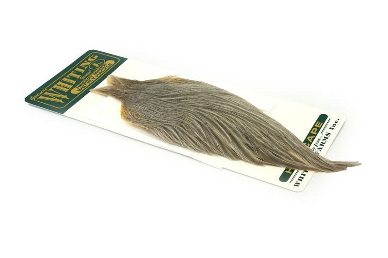 Whiting Hebert Hen Cape – dealerweb-cms-4c396961-cc5e-40f3-bc56-b5d302306342.jpg
