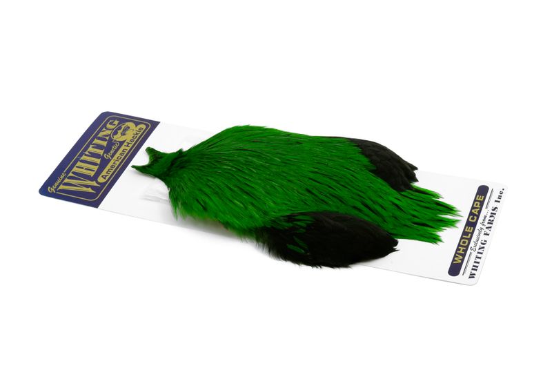 Whiting American Rooster Cape – dealerweb-cms-cf36910f-fc2b-4eab-8a8f-18d2e2b93292.jpg