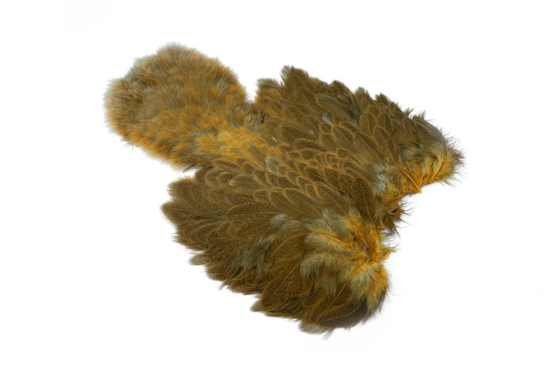 Whiting Brahma Hen SH/C – dealerweb-cms-dbec7f1a-0c8b-4c77-88ad-28661de333f2.jpg