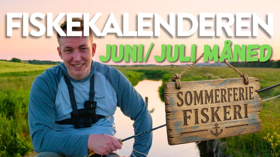 Fiskekalenderen: juni og juli – hvad kan du fiske efter?