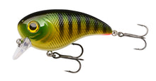 Berkley Pulse Biggie â€“ 1577405.jpg