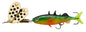 Abu Garcia Fast Attack Stickle Spinner â€“ 1596295.jpg