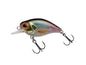 Berkley DEX Thumper â€“ 1600359.jpg