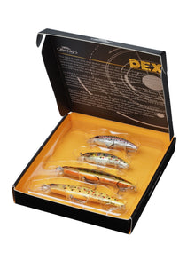 Berkley DEX Bullet Jerk Gift Box â€“ 1611450_2.jpg