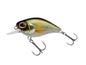 Berkley DEX Thumper â€“ 1621009.jpg