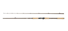 Abu Garcia Beast Pro Casting Rod â€“ 1632440.jpg