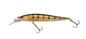 Berkley DEX Stunna 80 Plus1 â€“ 1640428.jpg
