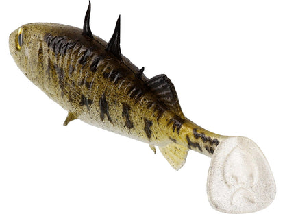 18baa4f9-a35d-48d3-8315-4f866179d7c4_p011_f5_large.jpg