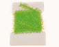 370145_web.jpg