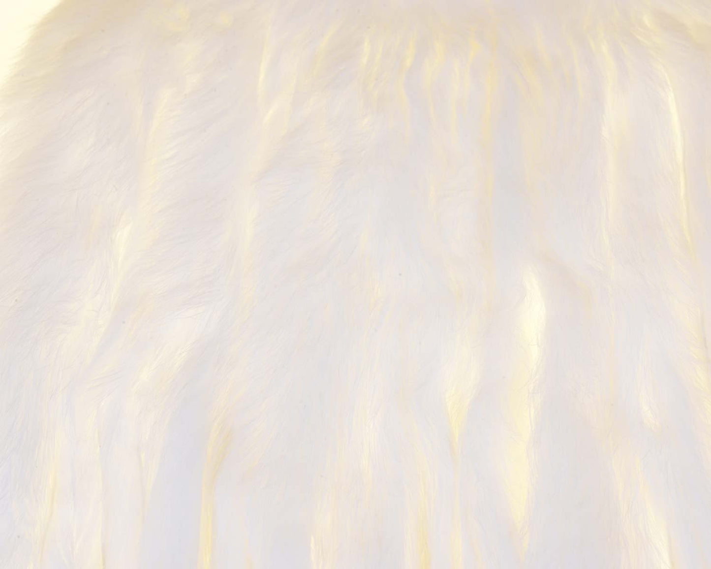 410102_web.jpg