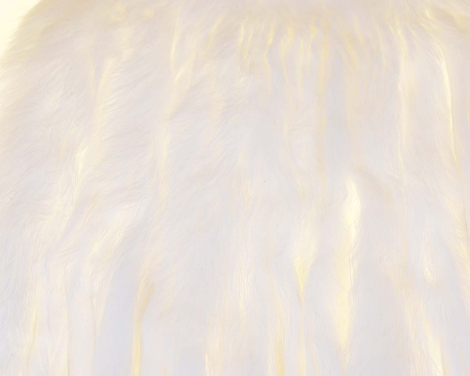 410102_web.jpg