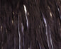 410122_web.jpg