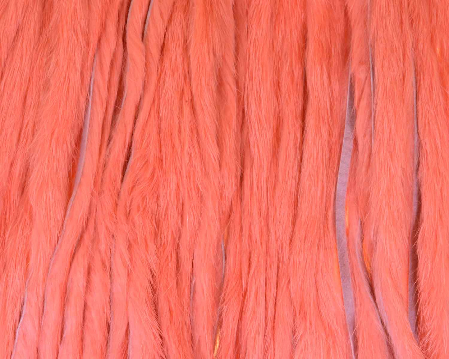 410146_web.jpg