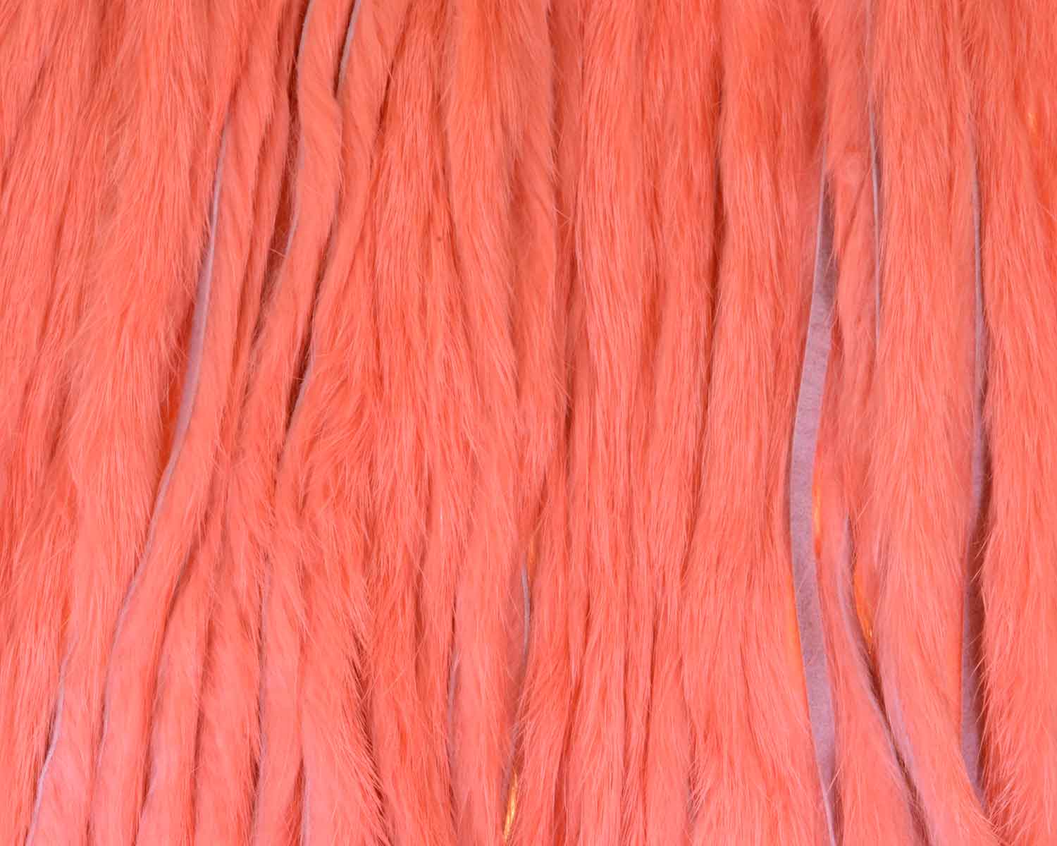 410146_web.jpg
