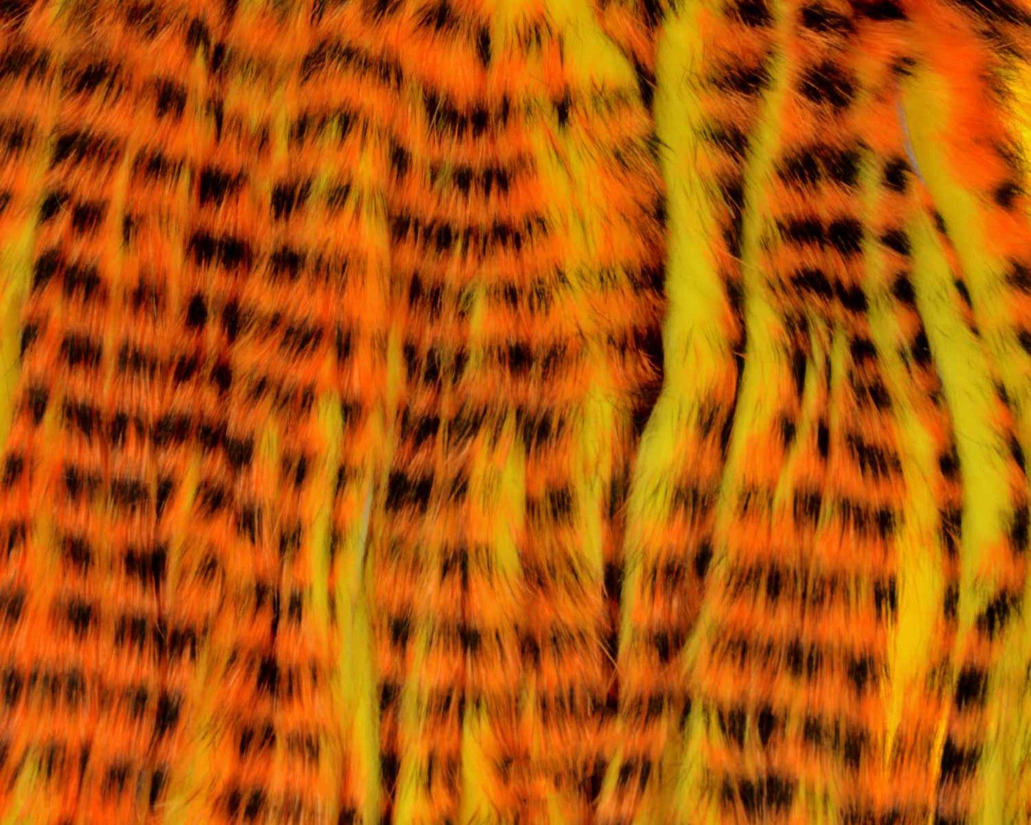 410401_web_af40c7f6-84af-465a-93c9-84814ba09656.jpg