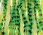 410402_web_3cdaff8b-2034-4918-ad92-901cd71e5462.jpg