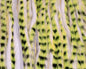 410409_web_5c61fb1c-2e8f-4377-a16f-72a01f2d145b.jpg