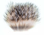 450600_web.jpg
