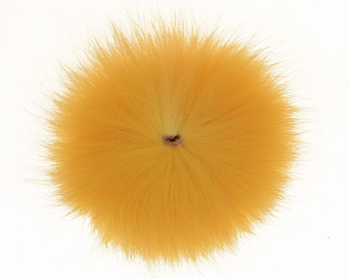 457535_web.jpg