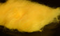 603011.jpg