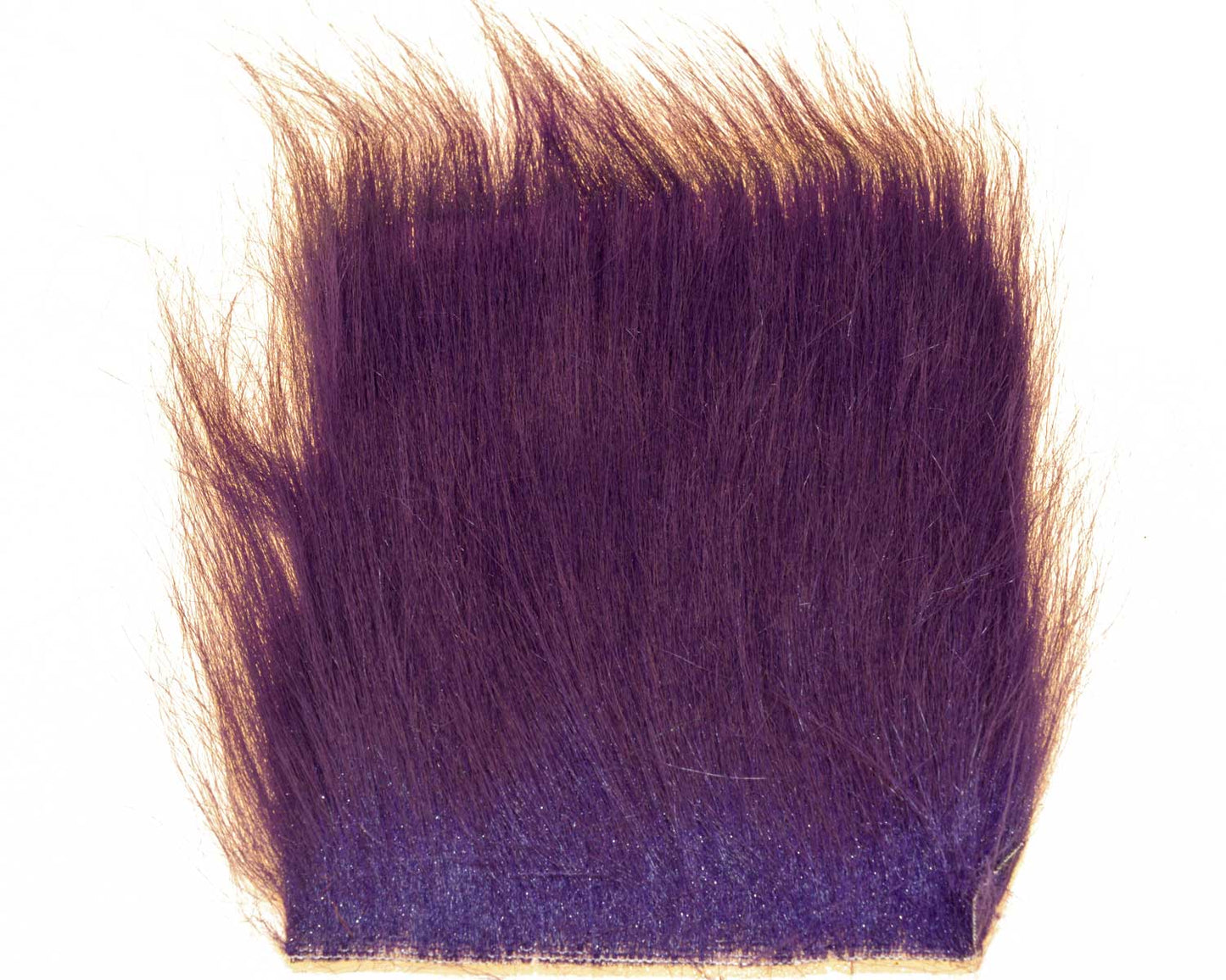 603315_web.jpg
