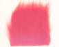 603316_web.jpg