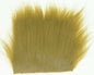 603332_web.jpg