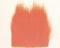 603368_web.jpg