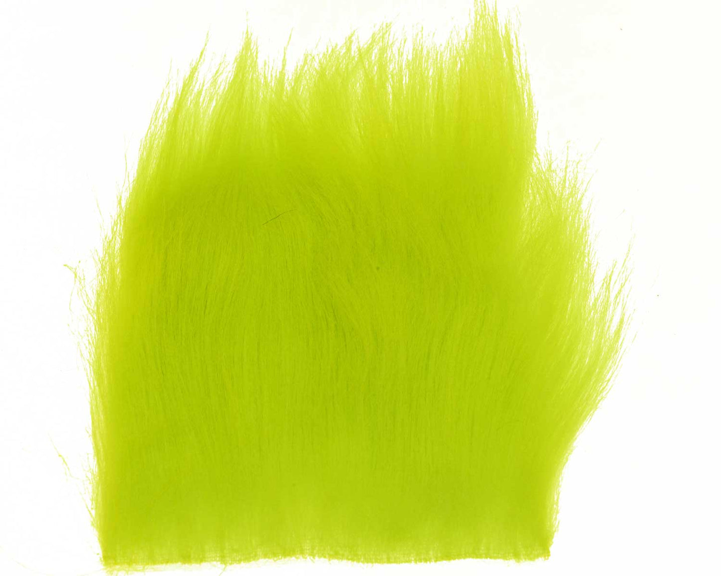 603383_web.jpg
