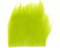 603383_web.jpg