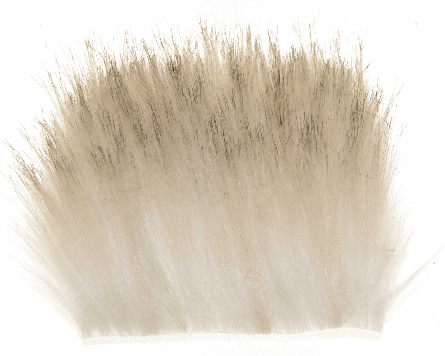 603409_web.jpg