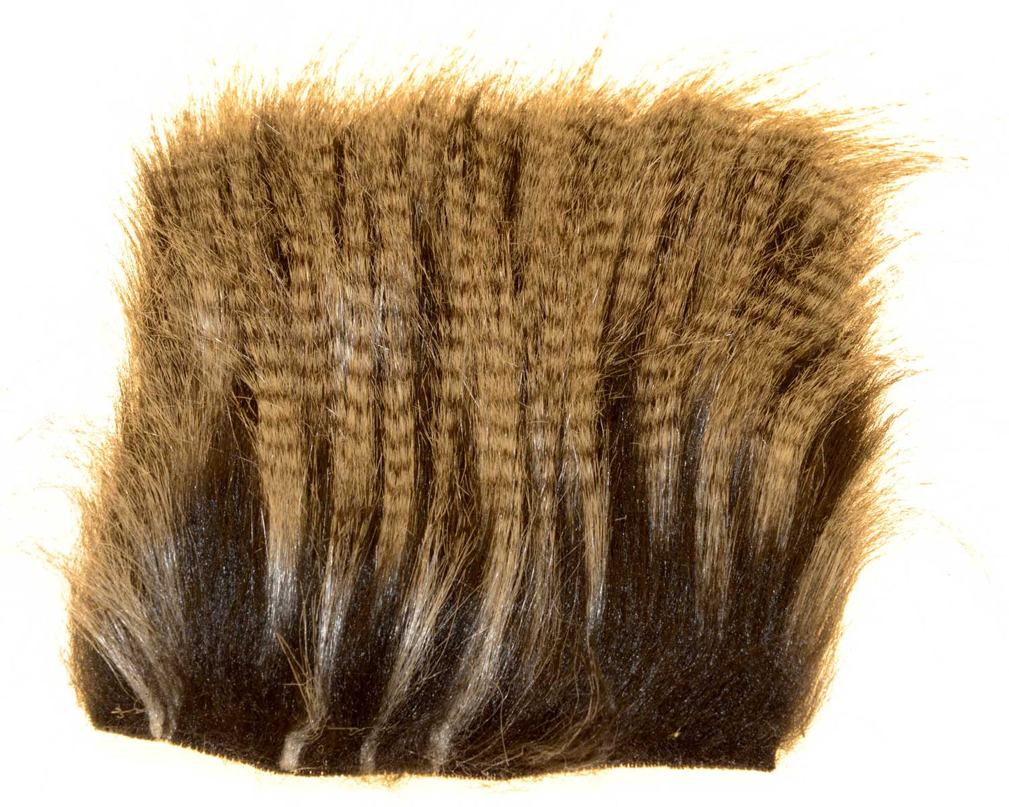 603501_web.jpg