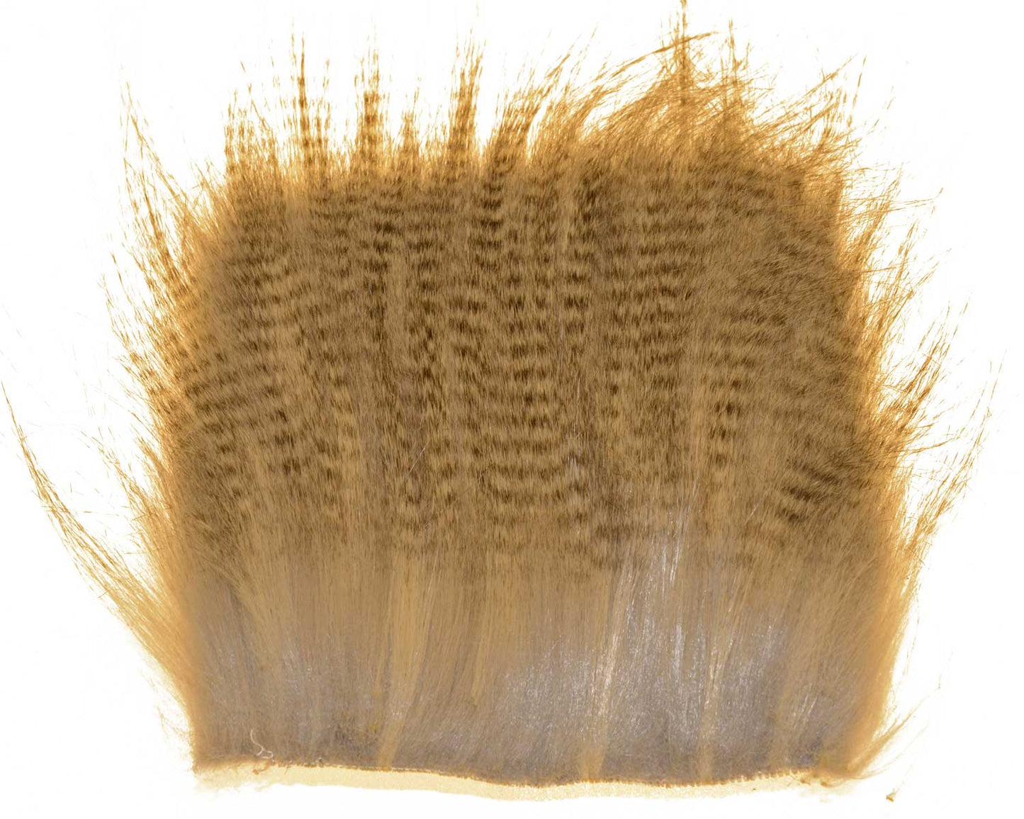 603518_web.jpg