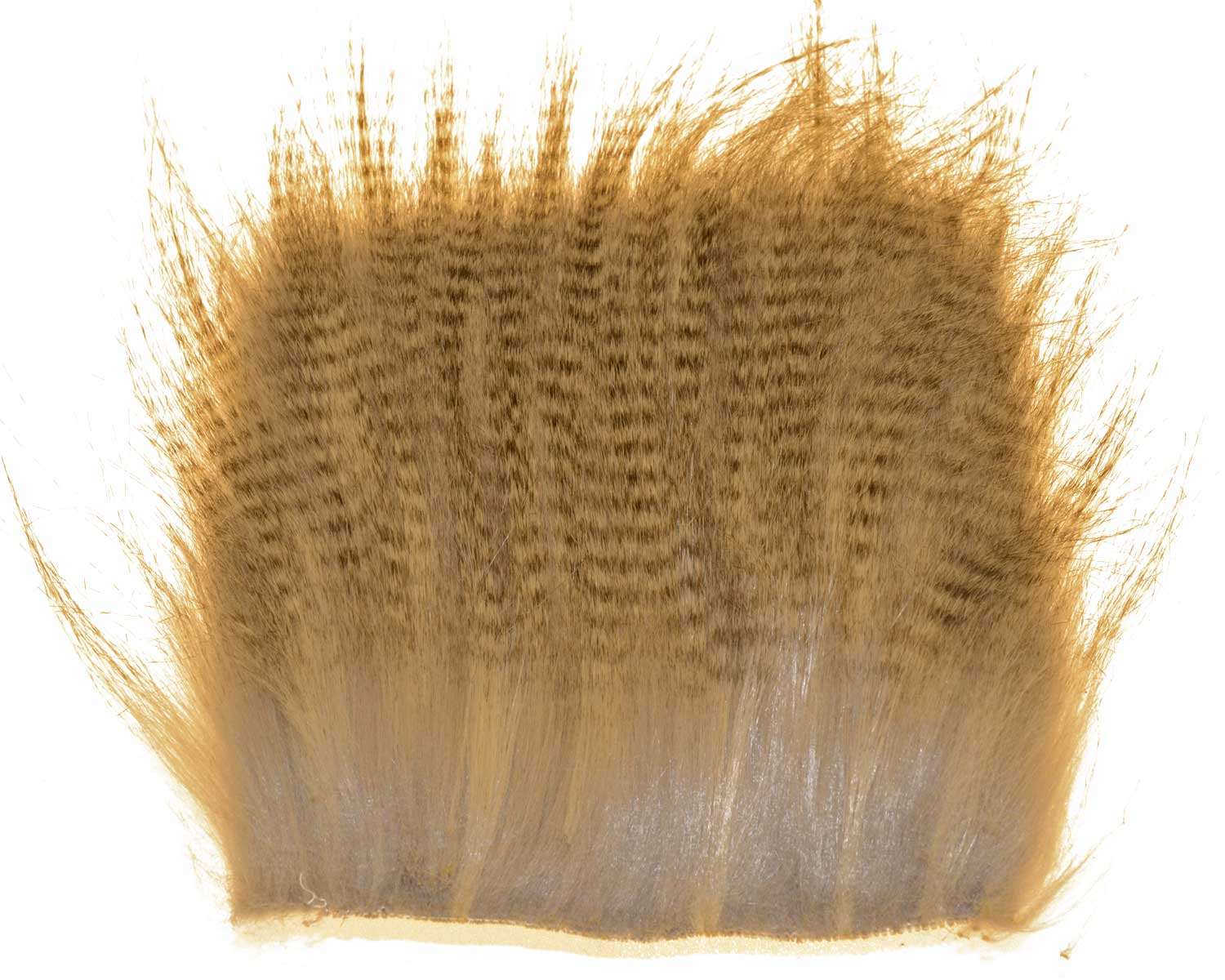 603518_web.jpg