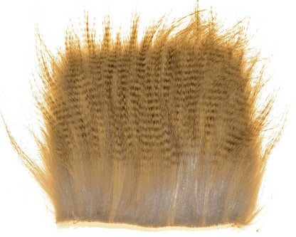 603518_web.jpg