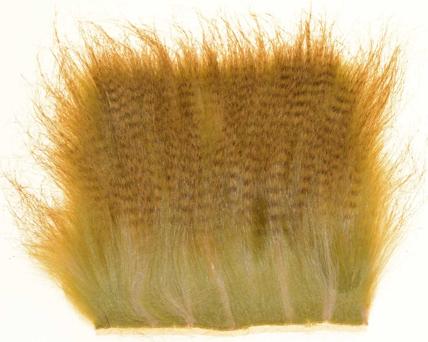 603532_web.jpg