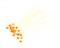 771182b_web.jpg