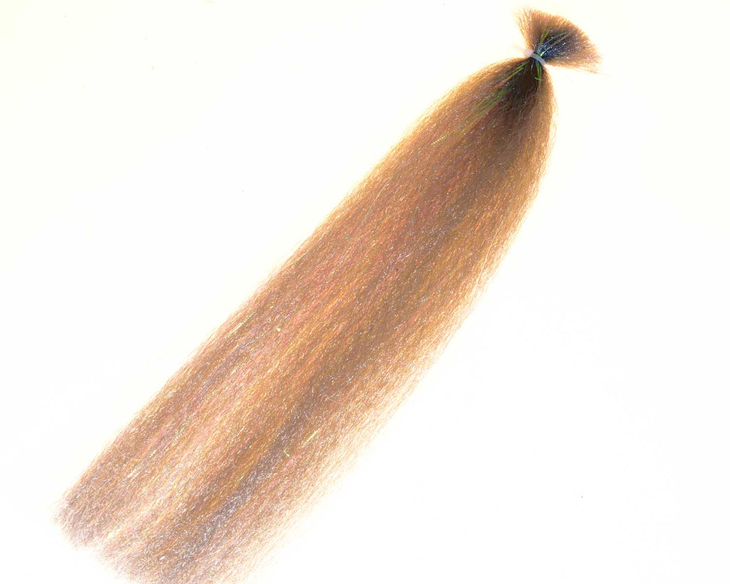 821118_web.jpg