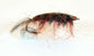 Gammariden Brown Kystflue
