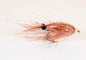 Copper Shrimp Kystflue