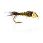 AJF_400306.jpg