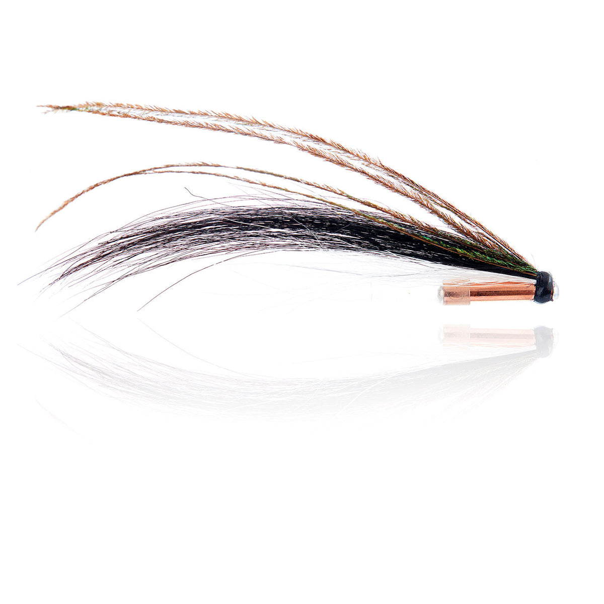 AJF_500518.jpg