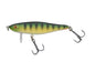 Berkley Pulse Racer â€“ BerkleyPulseRacer_1577429.jpg