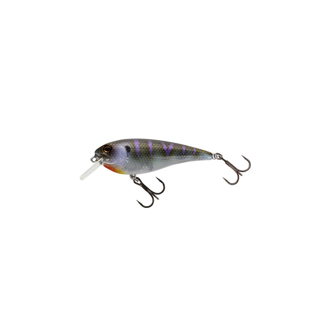 Westin Rawbite 11cm 26g