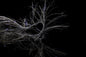 FB-660201_1of1.jpg