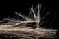 FB-660292_1of1.jpg
